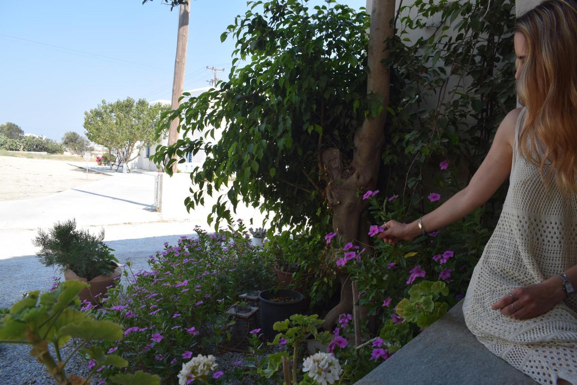 Birbas Hotel Agia Anna  객실 사진